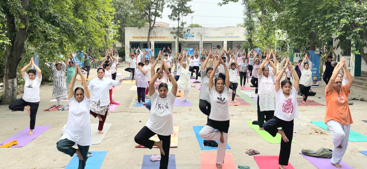 251 yoga classes are being conducted in the district under CM's Yogashala - Komal Mittal